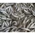 Apróhal Aquadella (5-8 cm/db) 10x1kg (Atherina boyeri)
