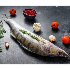 Egész süllő 600-900g, 10% glaz. 1x10kg