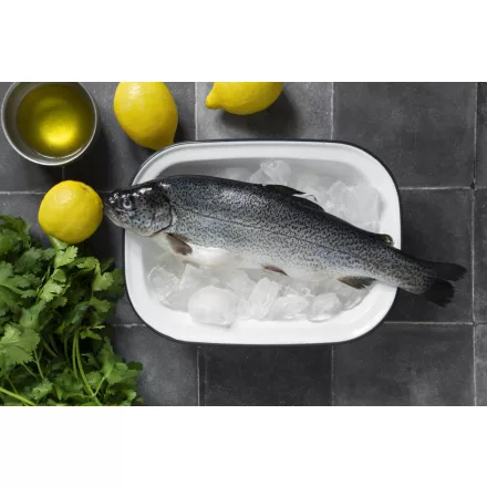 Pisztráng belezett 250-300g 10%gl 1x5kg (Oncorhynchus mykiss)