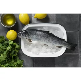   Pisztráng belezett 300-350g 10%glaz.1x5kg (Oncorhynchus mykiss)