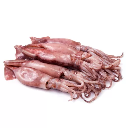 Patagóniai bébi tintahal 9-13cm 800g/1000g 20%glaz