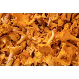 Erdei Rókagomba egész 8x1 kg