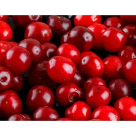 Sour cherries, pitted, in jar 4250 ml (4300g/2200g) 2pc/#