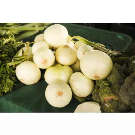 Eh. Vöröshagyma egész 3kg vákuum